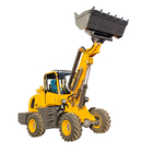 2 Tons Telescopic Wheel Loader TL2000 With Single Phase Hydraulic Converter
