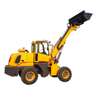 2 Tons Telescopic Wheel Loader TL2000 With Single Phase Hydraulic Converter